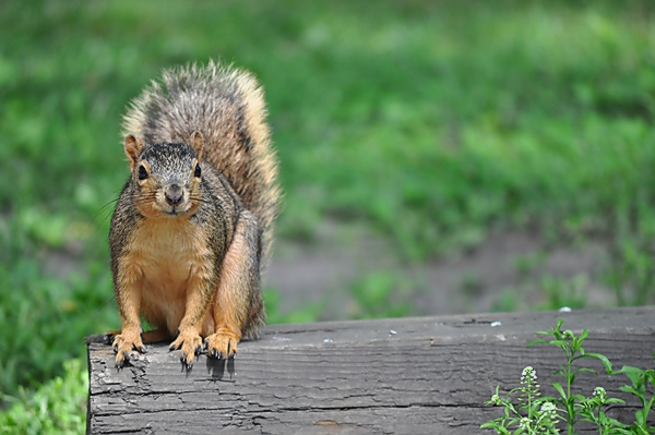 DSC_0006.jpg